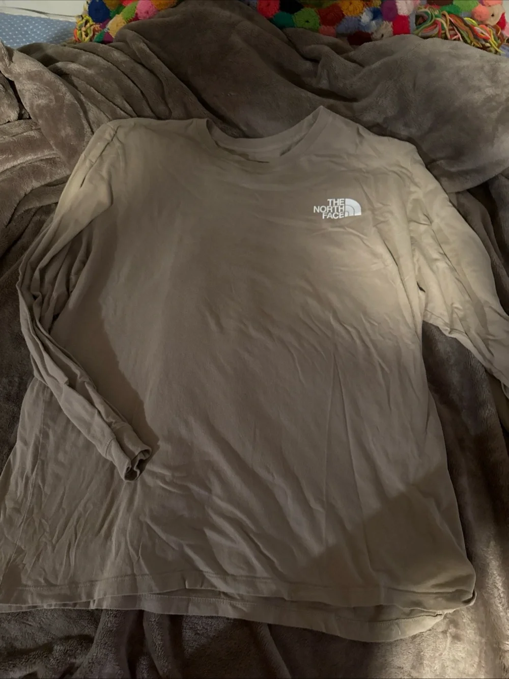 The North Face Men’s Long Sleeve Tee - Light Brown